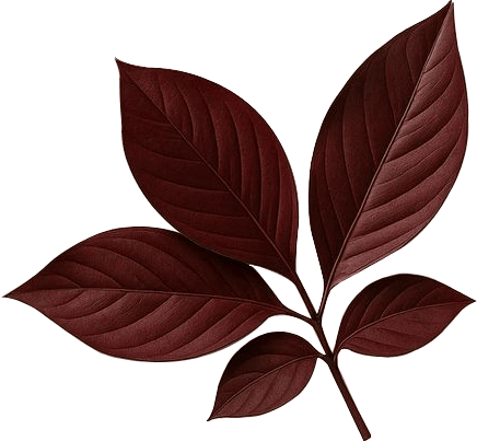 Decorative leaf